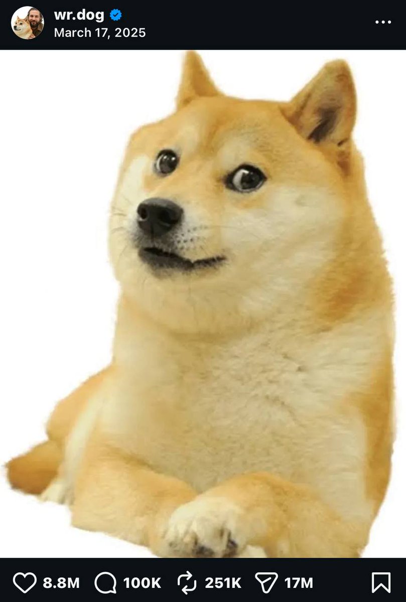 Revan_DRx's tweet photo. @elonmusk Will DOGE be able to beat Messi and set a new world record for the number of likes? https://t.co/c4LfOVErgk