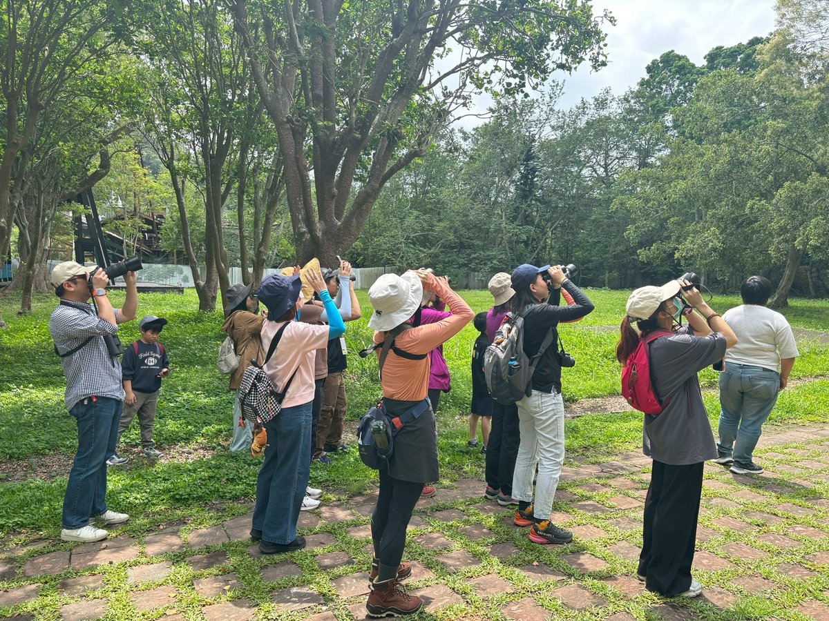 twbf1988's tweet photo. From 5/1-5/2, the 16th Dasyueshan Bird Race took place in Taichung City. Hosted by the Wild Bird Association of Taiwan, it is Taiwan's largest birding competition. This year, a record 176 participants across 46 teams competed, with the winning team recording 121 species.

📷WBAT https://t.co/govEtPJe2x