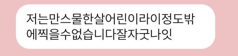 띤 tweet media