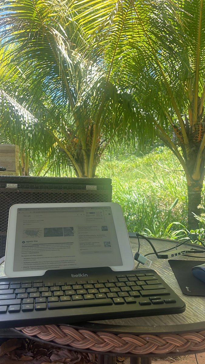 mevchad's tweet photo. Thanks for providing the context. I was using those numbers as a starting point, but just like how horsepower doesn’t tell the whole picture on a Car, there’s nuance. For now I remain in Puerto Rico, but I’m open minded to El Salvador, or even Bermuda or Azores if they turn out to be decent