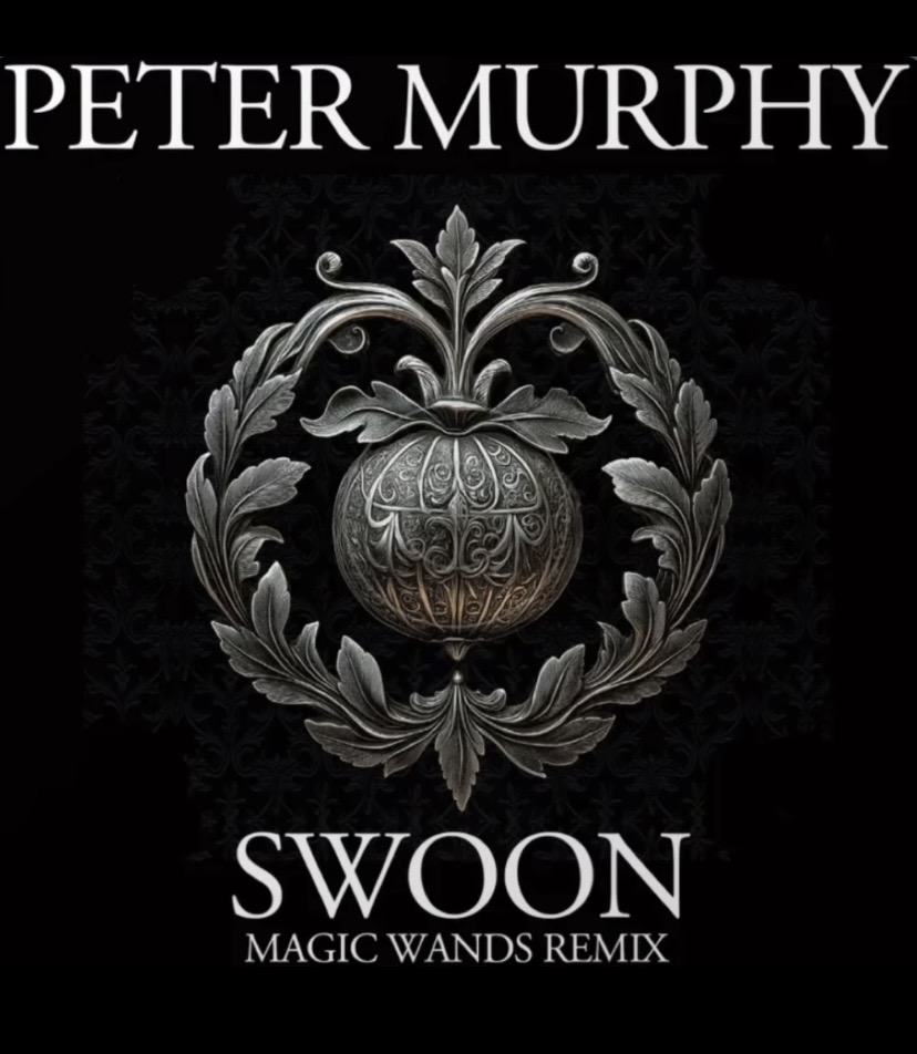 Peter Murphy tweet media