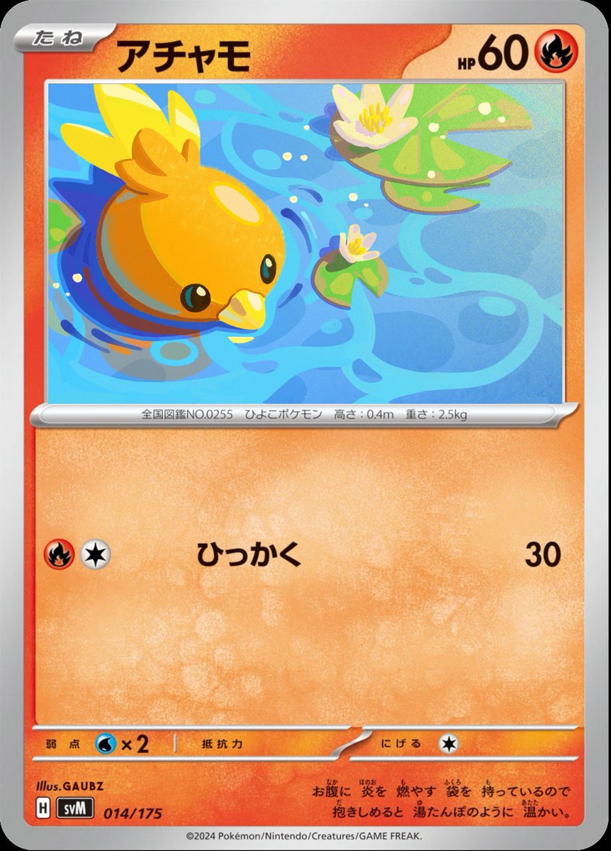 Torchic / アチャモ / Poussifeu