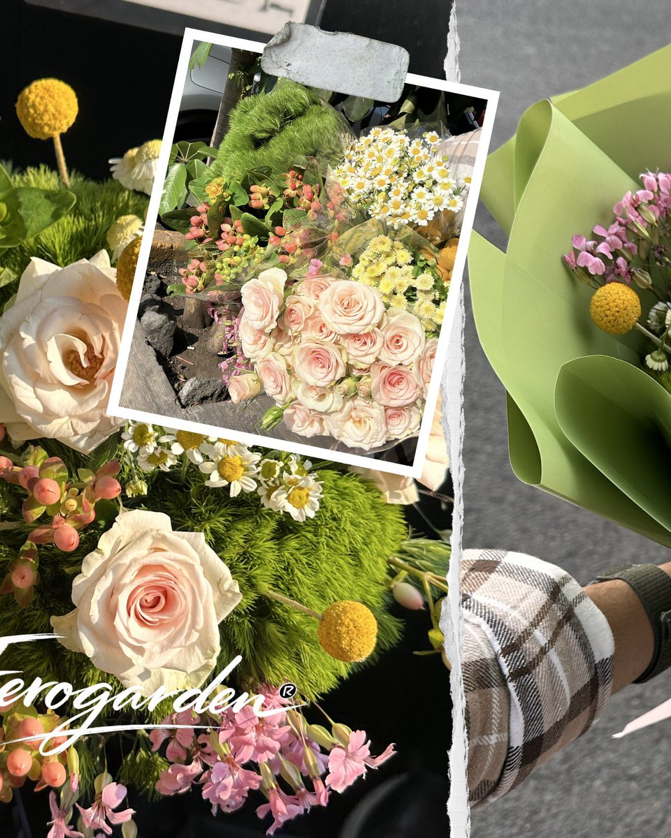 ECGplants's tweet photo. Ramos florales para mamá este 10 de mayo, mi marca es FEROGARDEN 
CDMX y Campeche https://t.co/jjzMMH9bcQ