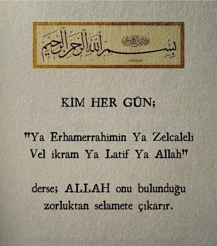 kitabulsevda's tweet photo. Galerinizde bulunsun https://t.co/Rtc1jGPk04