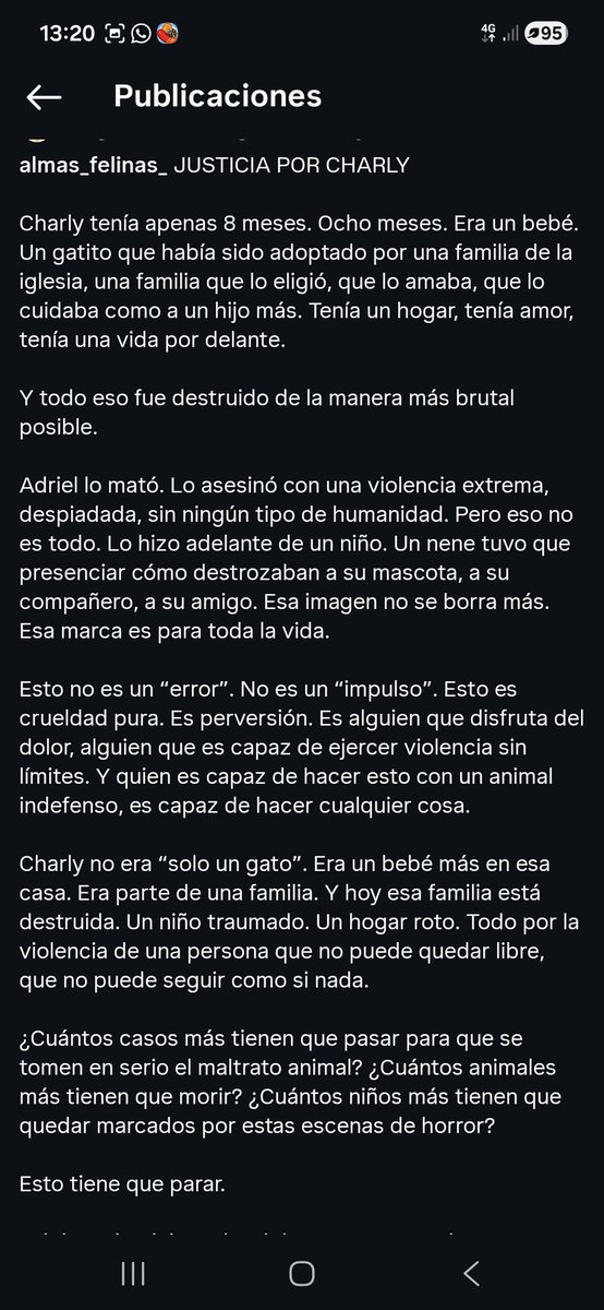 .Nat 🖤🧡💛 tweet media
