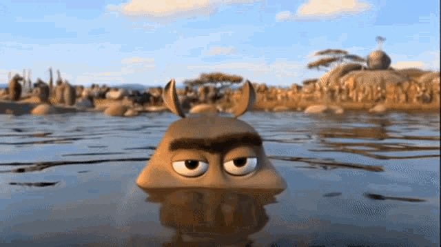 I think moto moto likes you