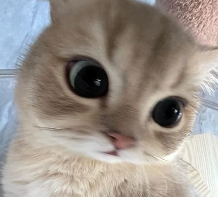 ᴸᴼᴺˣᵁᵘ tweet media
