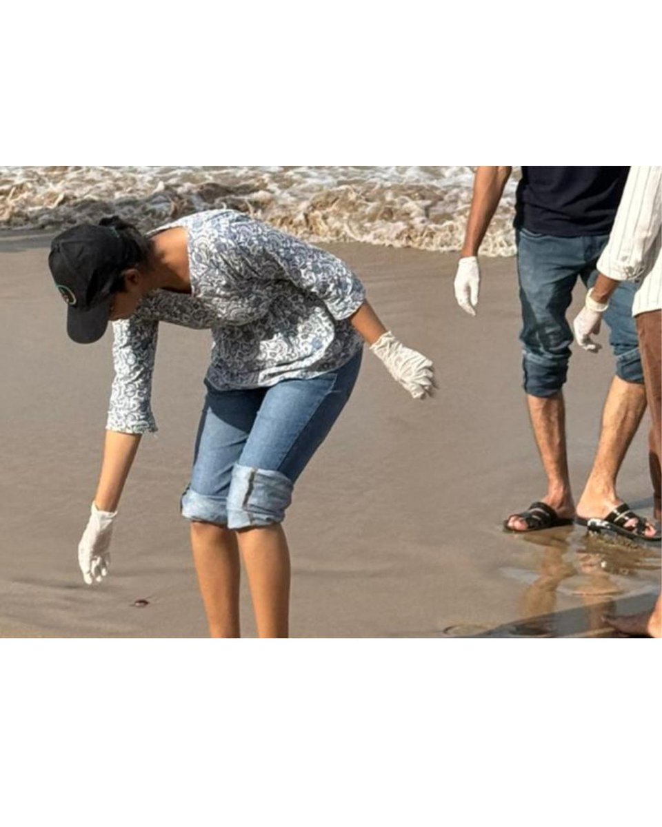 Beach Warriors India tweet media