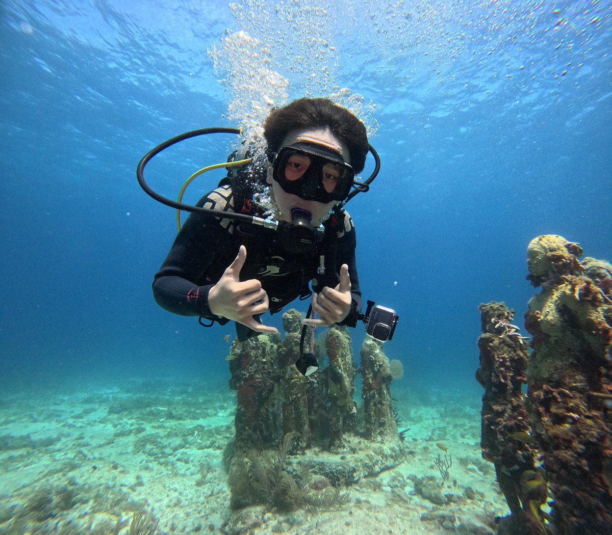 A' HA' Scuba Diving tweet media