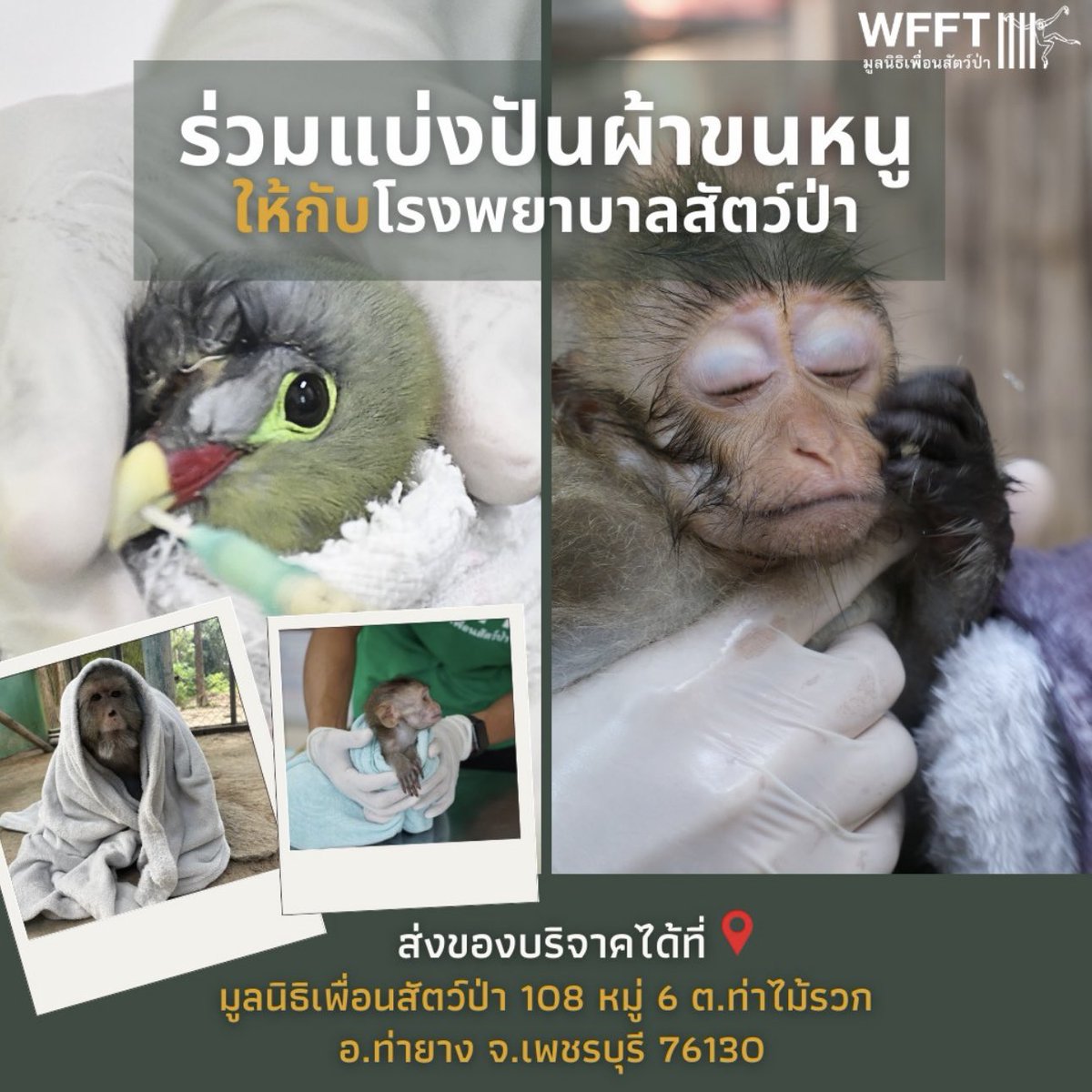 📣มูลนิธิเพื่อนสัตว์ป่า
เปิดรับบริจาคผ้าขนหนู &amp; ผ้านวม (ได้ทั้งเก่าและใหม่) ให้กับสัตว์ป่าที่กำลังพักรักษาตัว และได้รับการดูแลอยู่ในโรงพยาบาลสัตว์ป่า เพื่อไว้ใช้ทำความสะอาด ให้ความอบอุ่น และรองรับการดูแลสัตว์อ่อน

📌สามารถส่งของบริจาคช่วยเหลือมาได้ที่
มูลนิธิเพื่อนสัตว์ป่า 108