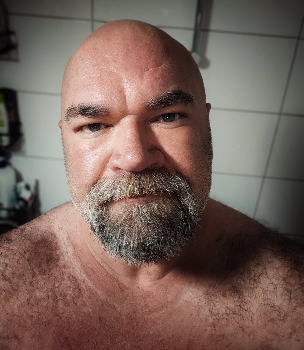CGNBEAR (@petervogl11) on Twitter photo 