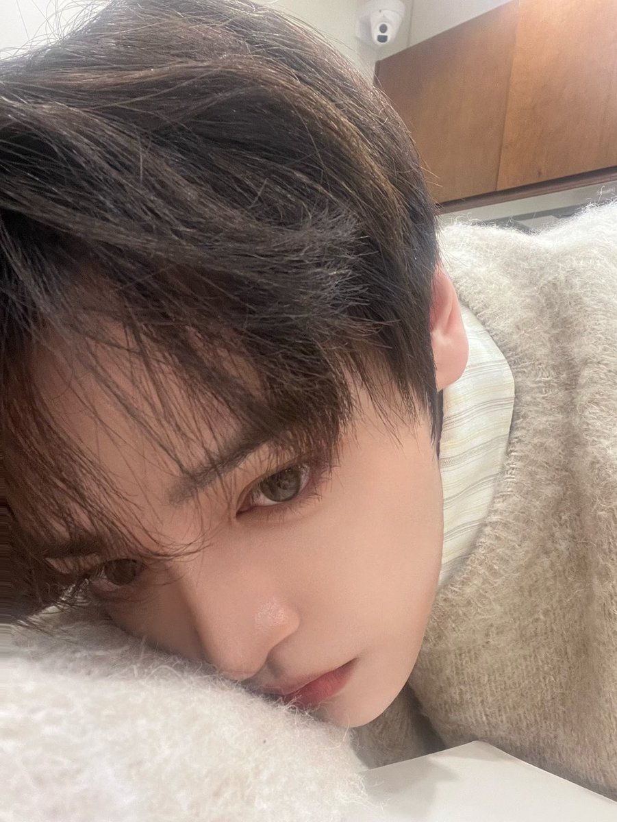 띤 tweet media