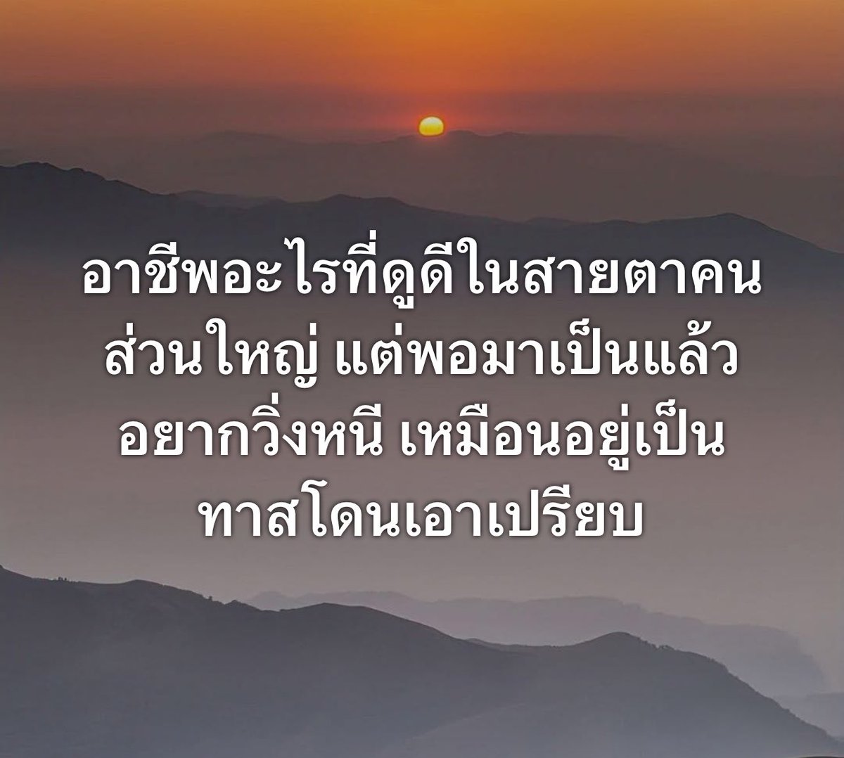 ช่างแม่ง🐰🏳️‍🌈 tweet media