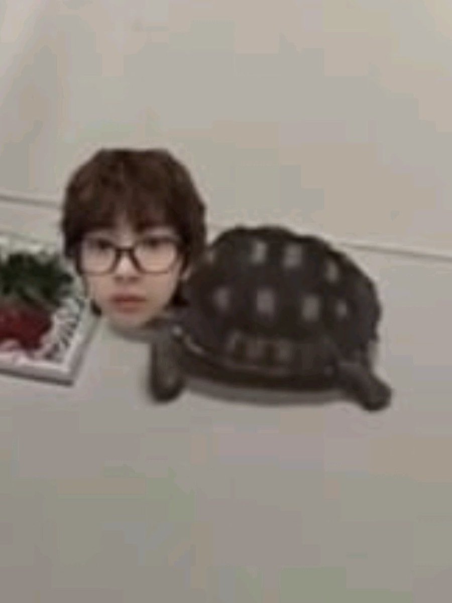 🐢.. tweet media