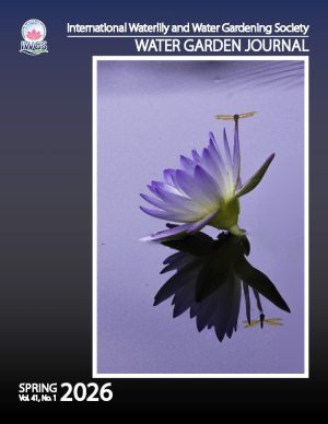 TheIWGS's tweet photo. The Water Garden Journal, Spring 2026 edition is out! 
One article from this Journal will be published in the Articles section of this website. Non-subscribers can view this article for free.
See https://t.co/P6OGWmvixO
#watergardening #lotus #waterlilies #gardeningX https://t.co/BJbtlbQ8jO