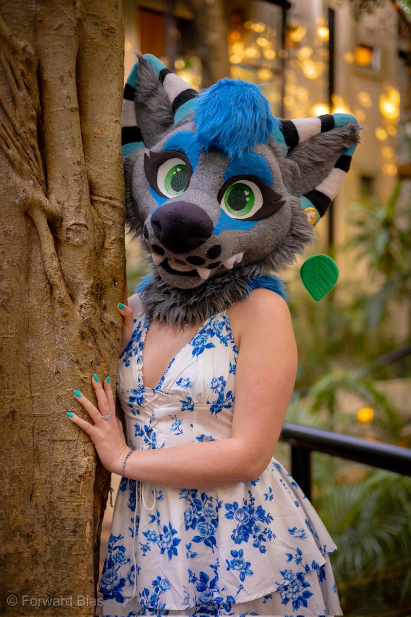 Stormy Fluff ⛈️ tweet media