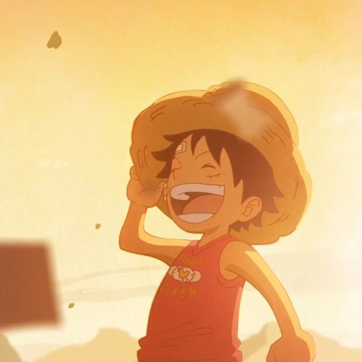 straw hat fuly tweet media