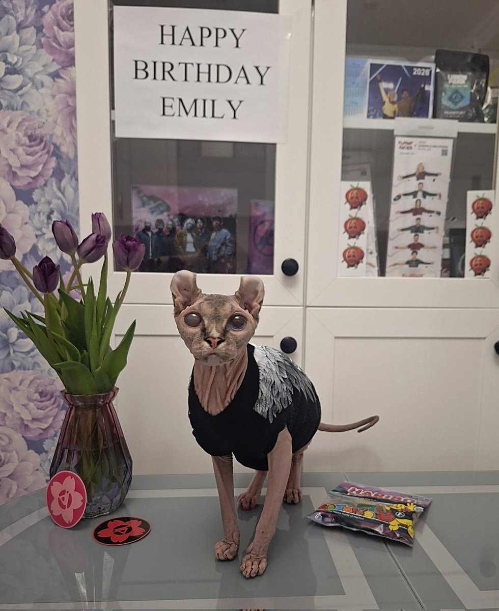 emptinessa_ru's tweet photo. Lucius and I are both wishing you a happy birthday Emily ❤ https://t.co/iiSJQ01btt