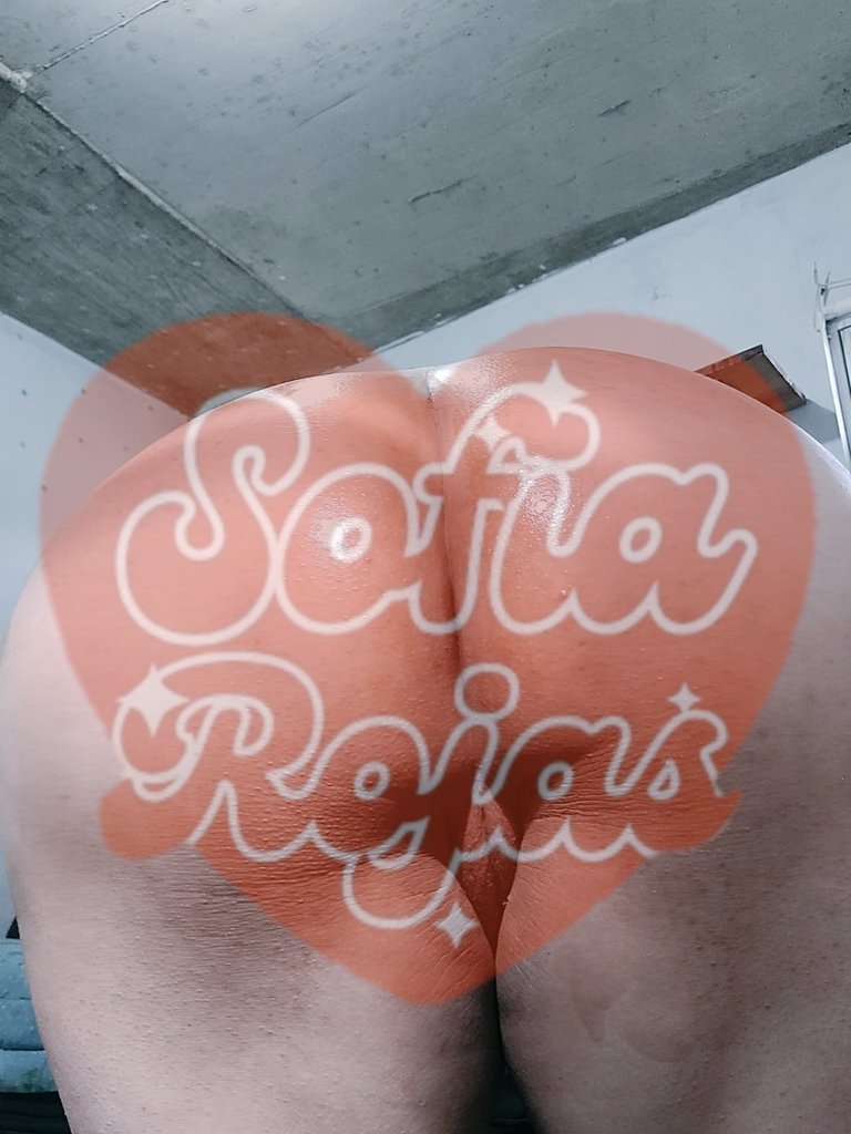 sofia tweet media
