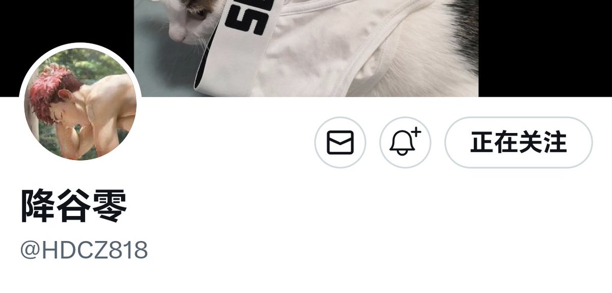 吃个寿司🍣 tweet media