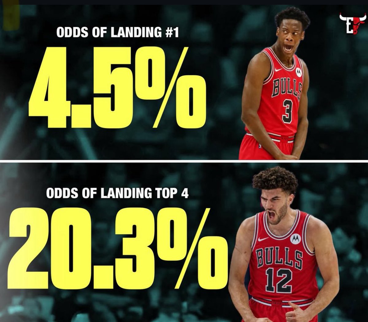 Die-Hard Chicago Bulls Fans tweet media
