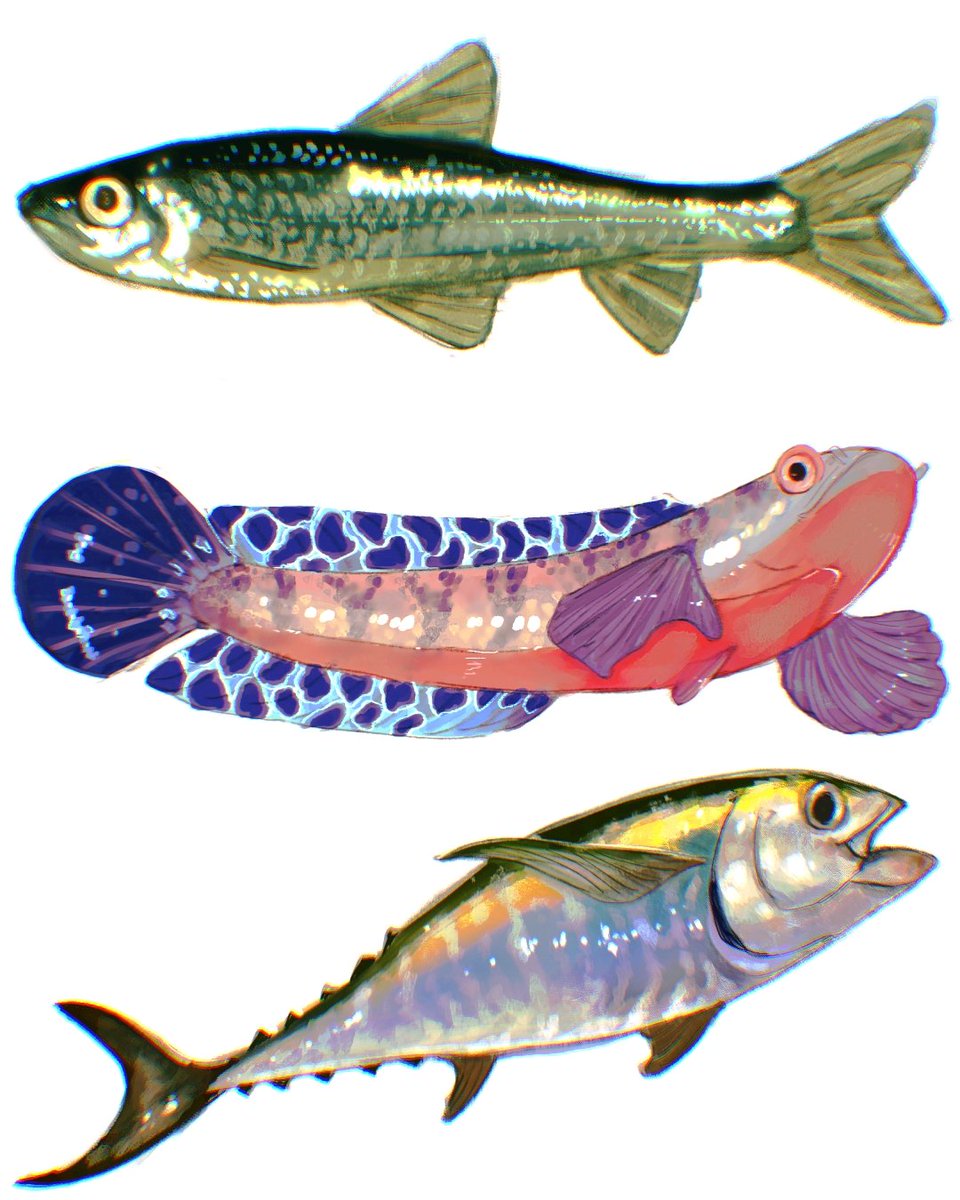 Clawni ʕ´•ᴥ•`ʔ tweet media