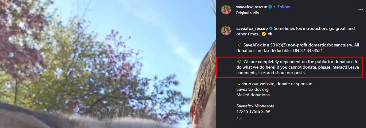 Flavius Belisarius tweet media