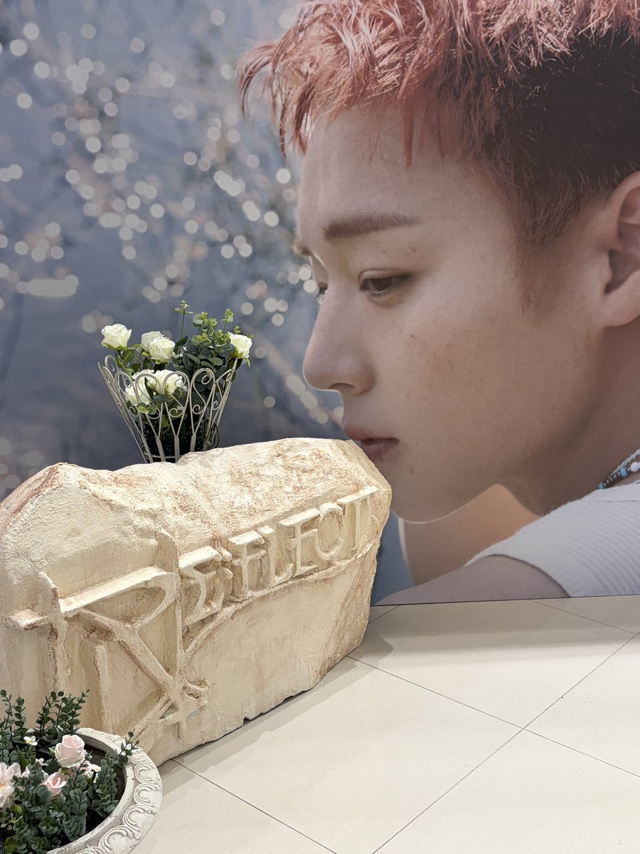 wiNG_bBu's tweet photo. 포카들이 다 너무 예뻤고 사방이 훈지여서 행복햇어요// 스탭분들도 넘 친절하셧구 예약하고 입장하는 시스템이라 편햇어요🤍

#박지훈 #PARKJIHOON #REFLECT #REFLECT_POPUP https://t.co/pbnTtleWHZ