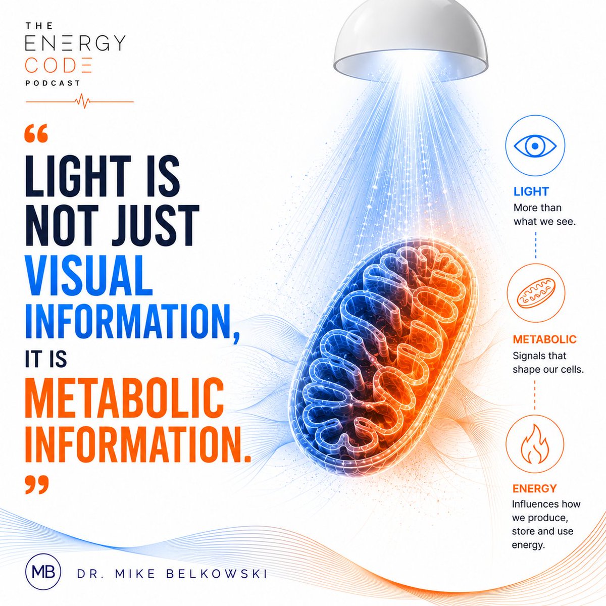 Dr. Mike Belkowski tweet media