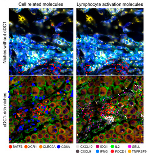 Waggoner Lab tweet media