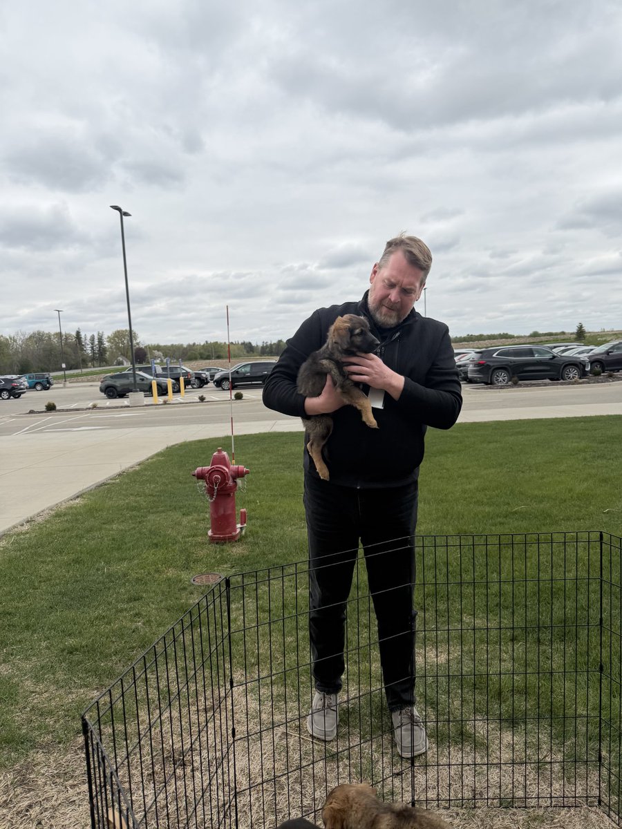 ZumbroEducation's tweet photo. As part of Teacher Appreciation Week, ZED brought in puppies for the teaching staff to enjoy over their lunch breaks! https://t.co/wToyYz5Uq9