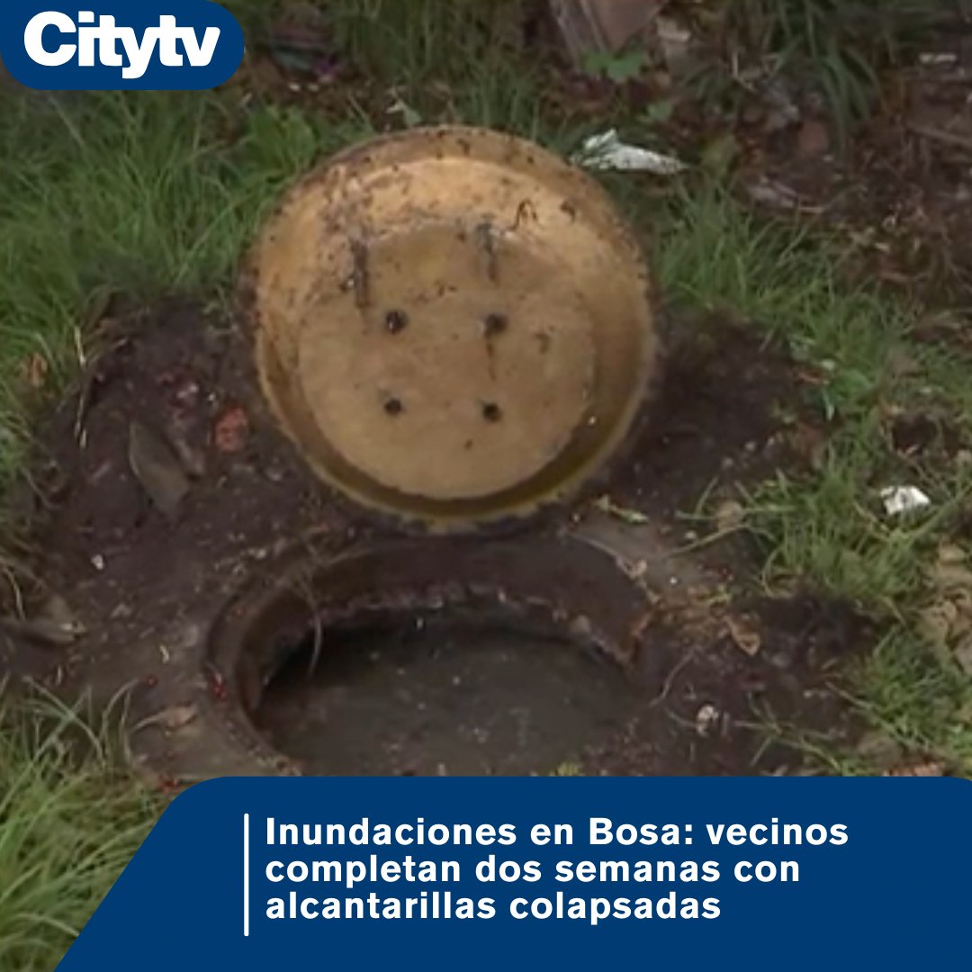 Canal Citytv tweet media