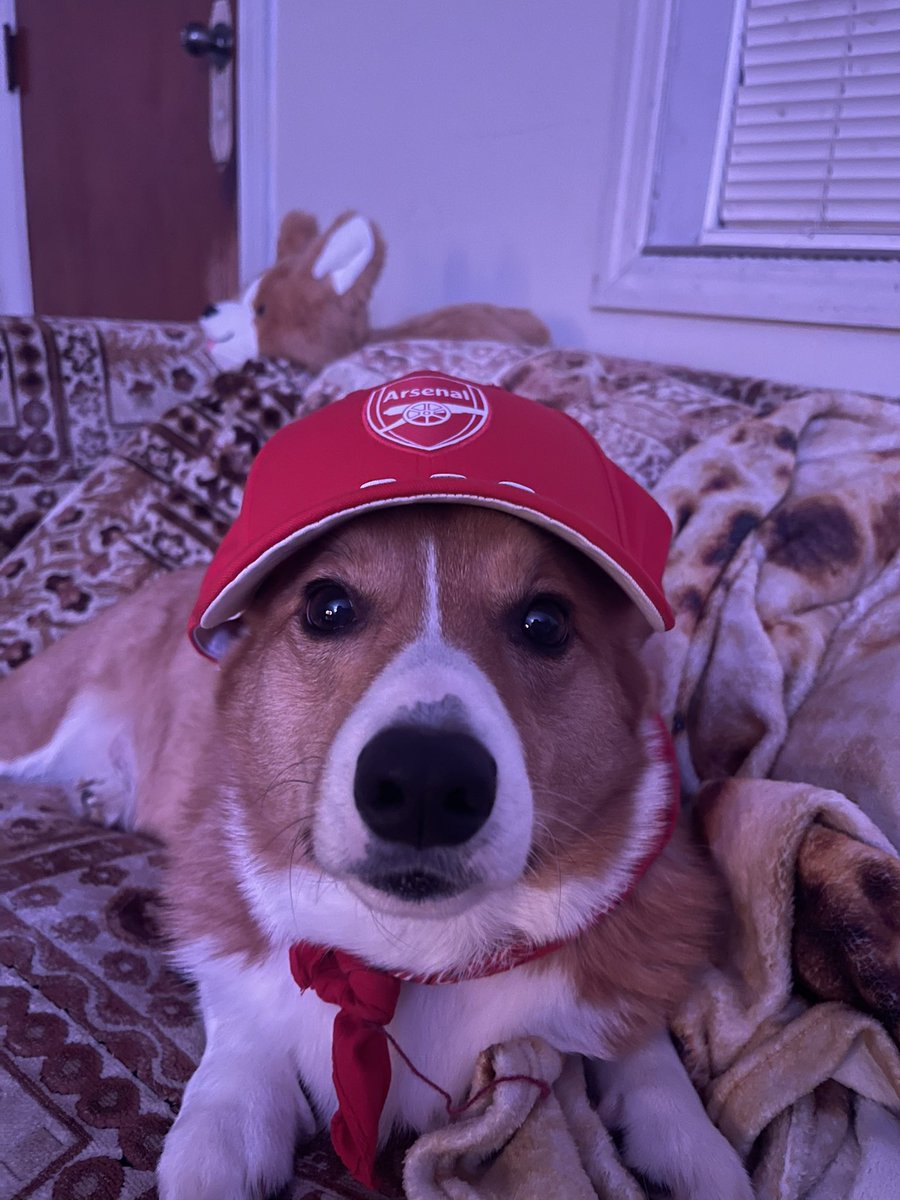 Tbett_'s tweet photo. Today Heaven got the sweetest angel and the goodest boy. Rest in Peace Momo I love you bubba https://t.co/s1EXvDjrGt