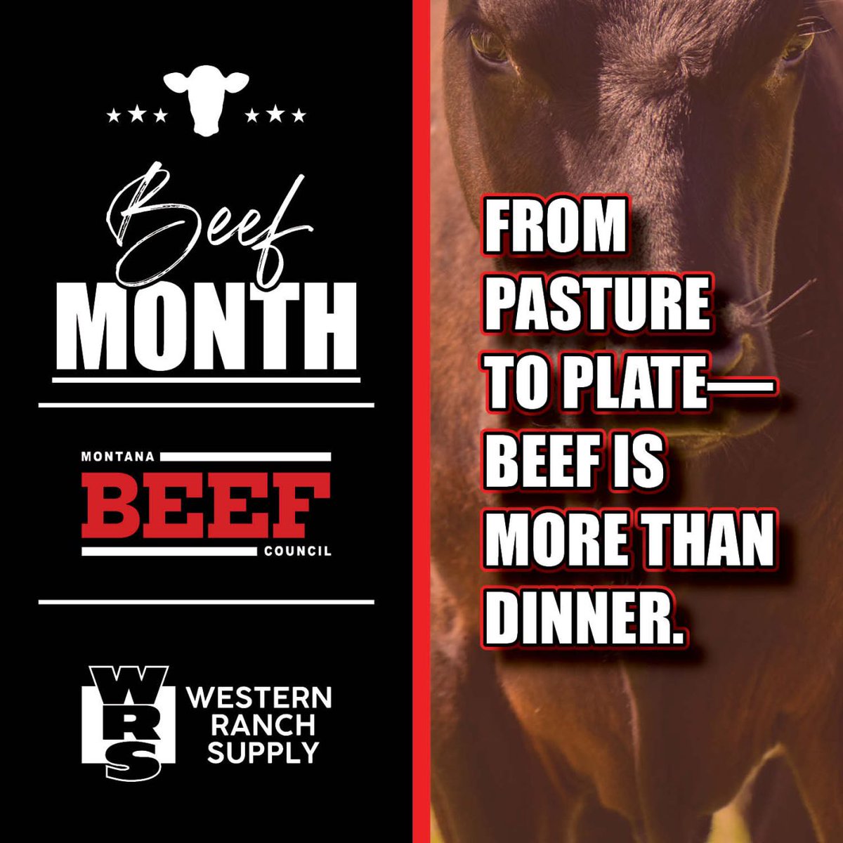 Western_Ranch's tweet photo. It’s Beef Month! We’re celebrating the ranchers, the recipes, and the reason your grill smells amazing all summer long. From pasture to plate, beef brings the flavor, the protein, and the pride.

#BeefMonth #MontanaBeef #EatBeef #WRSBeef #BeefItUp #GrillSeason #SupportRanchers https://t.co/ZYcYNF9Udj