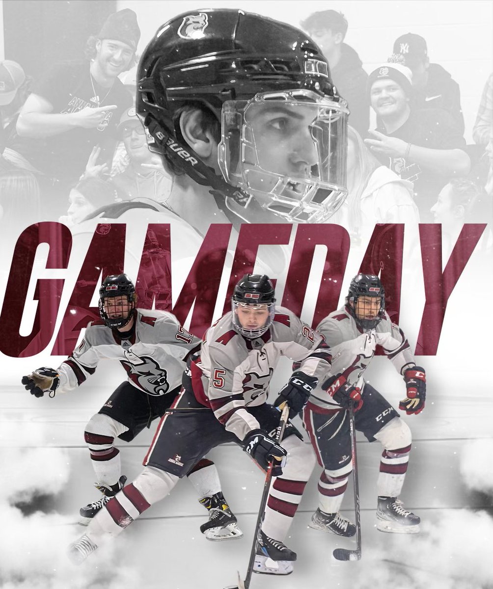 AMC MEN’S HOCKEY tweet media