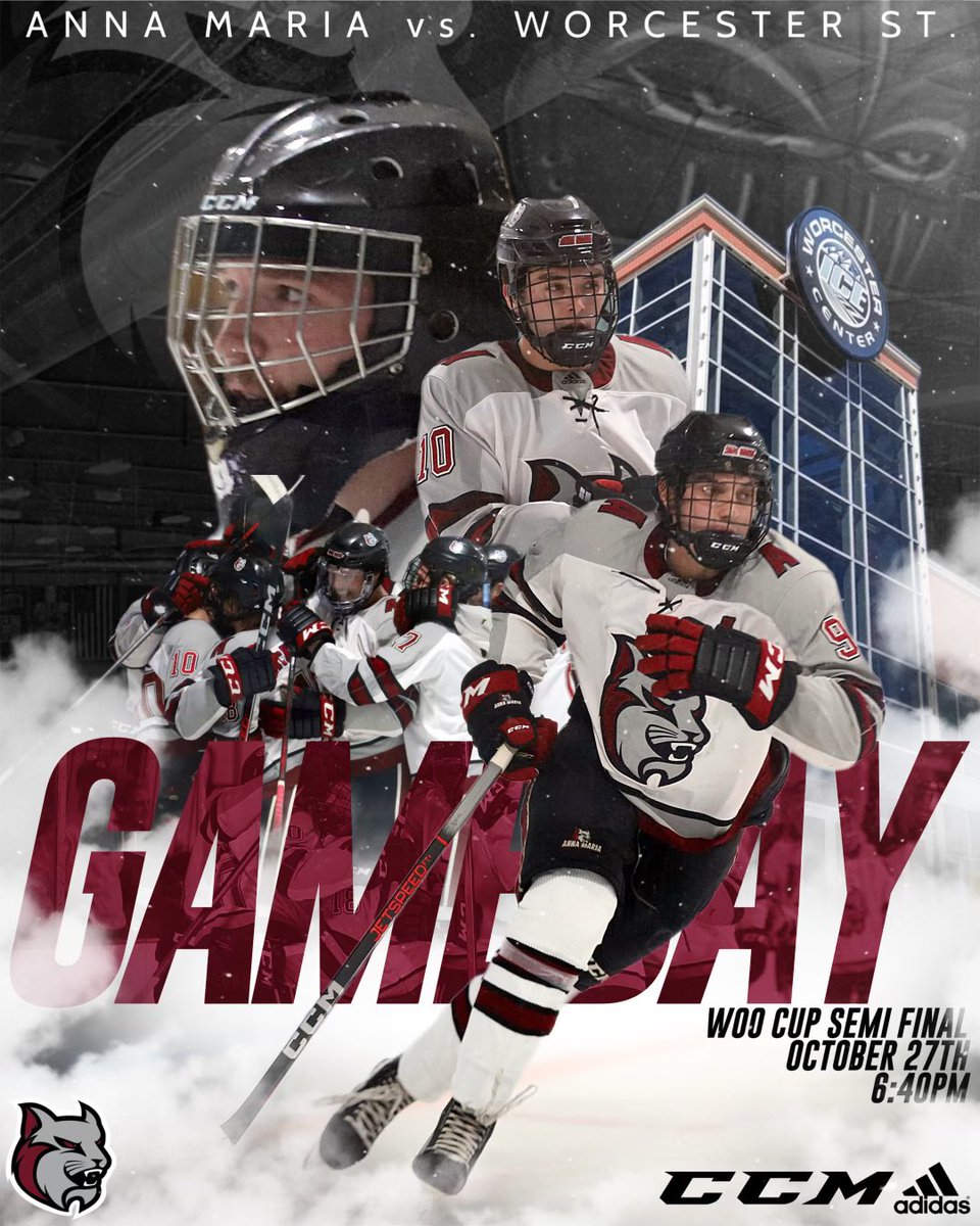 AMC MEN’S HOCKEY tweet media
