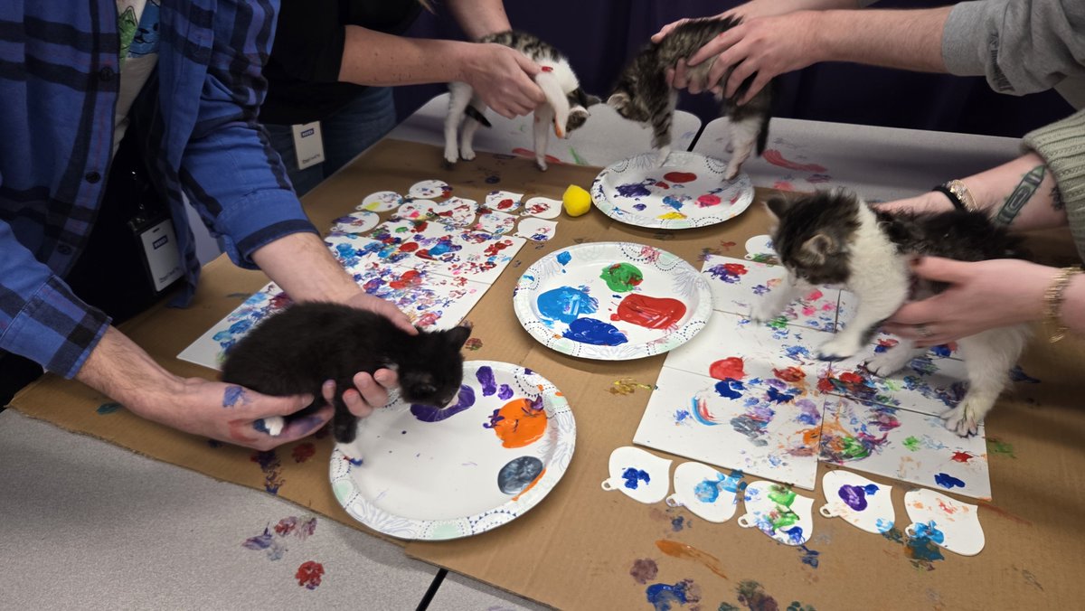 Nebraska Humane Society tweet media