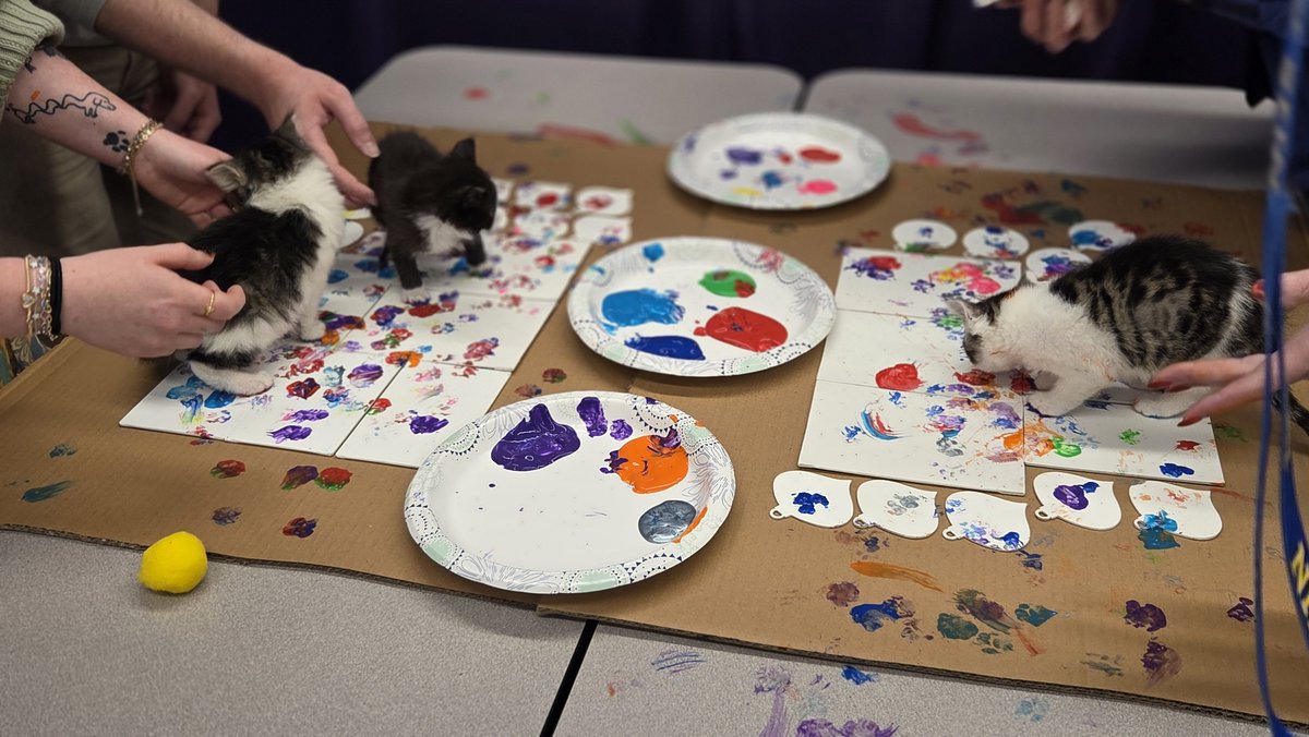 Nebraska Humane Society tweet media
