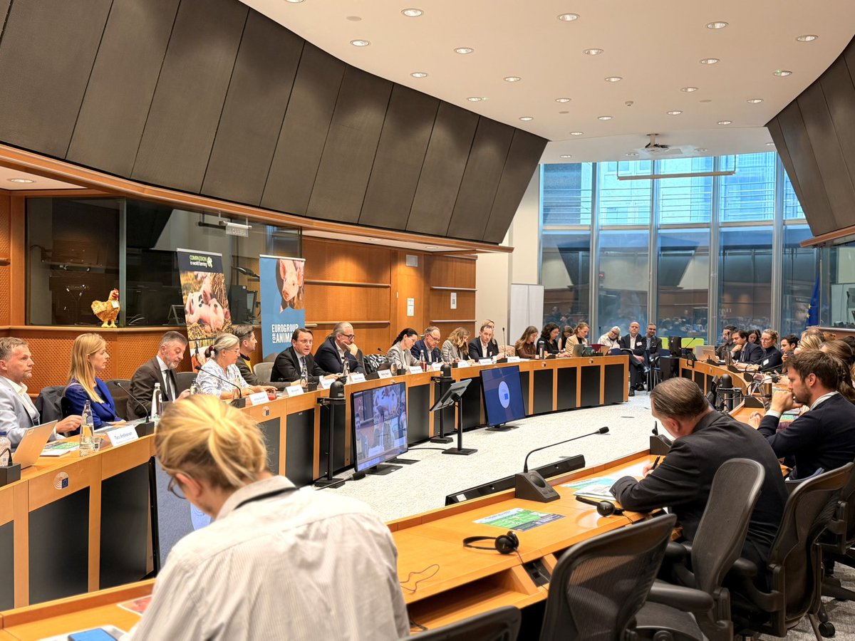 OliverVarhelyi's tweet photo. Today in the @Europarl_EN, I underlined that cage-free farming can be a success if we get the transition right.
That means clear and harmonised rules, realistic timelines and proper support for farmers - while keeping EU agriculture competitive. https://t.co/1W3fSeU0aD