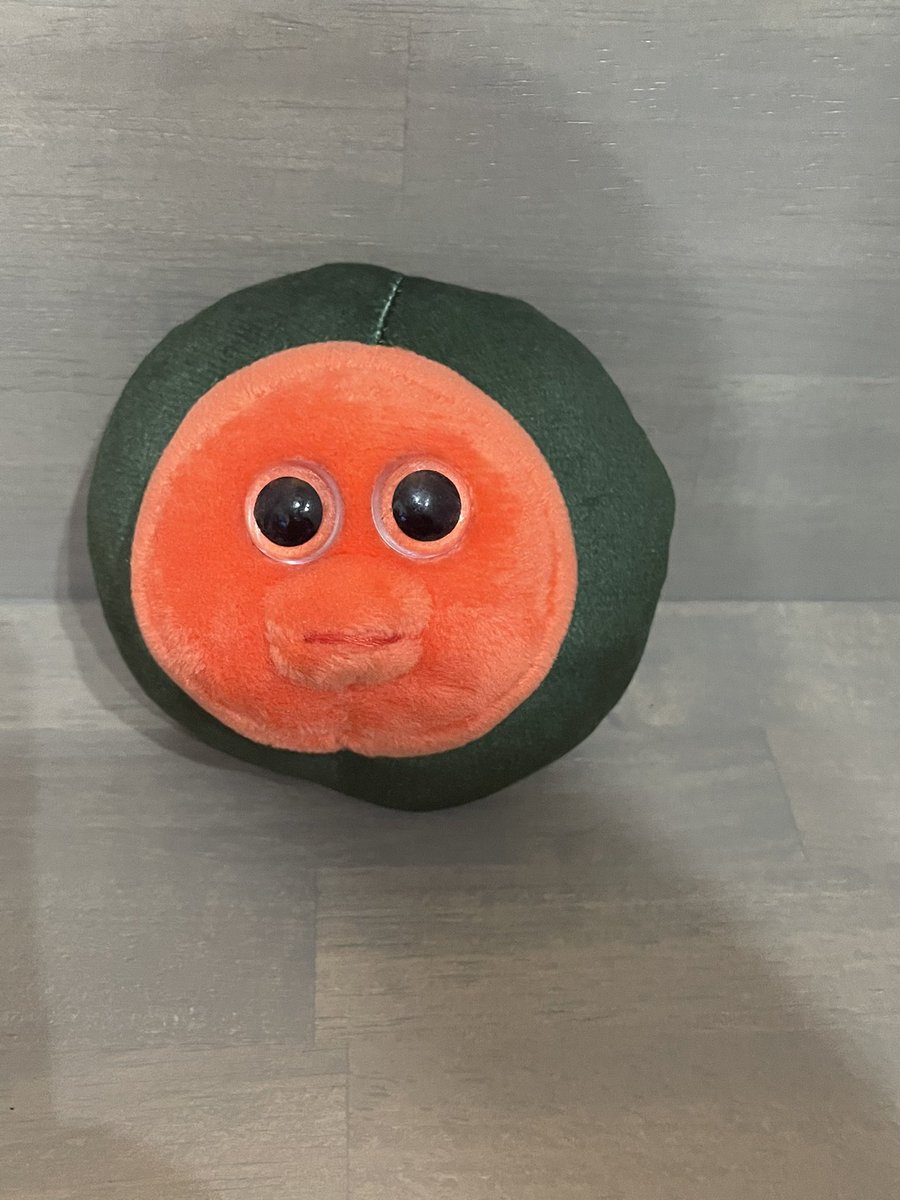 fuji_pikapoke's tweet photo. 【5/8最新】ouioui、交換もしくは買取希望一覧です😄
交換優先でお願いします。
私が提供出来るのは画像の子です。
レアと交換して頂ける場合は、こちらが2〜3体もしくは代金をお支払いさせて頂きますので宜しくお願いします。
#ouioui #itemlabel https://t.co/QiS5zq5wCi