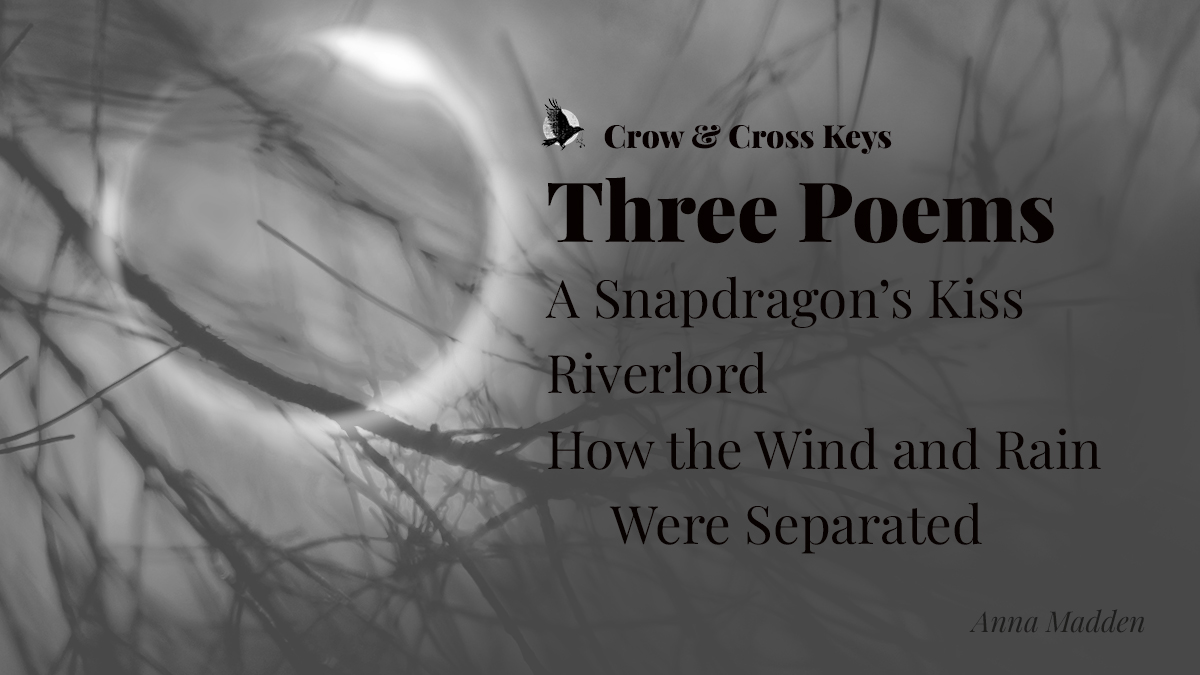 CrowKeys's tweet photo. We're thinking in threes, and things that happen in them. Three knocks before the door opens. Three cheers. Three poems by @anna_madden_

"A Snapdragon's Kiss"
"Riverlord"
"How the Wind and Rain Were Separated"

https://t.co/MjfIZgm08H https://t.co/onQRnkfQDC