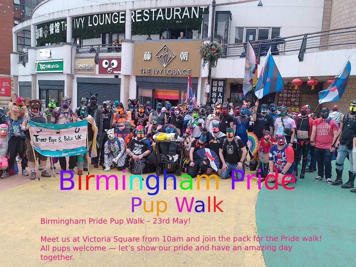 MidPups's tweet photo. Birmingham Pride Pup Walk – 23rd May 🌈🐾

We’ll be meeting in Victoria Square from 10am before heading off to join the Pride walk together.

Whether you’re a regular or it’s your first time, all pups are welcome to come along.

Sign up here to join:
 https://t.co/P7FfpPISbz https://t.co/nJB3s5WQCI