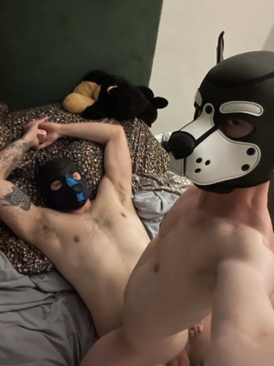 GShepAD's tweet photo. Oh you know...
Dogs being dogs. 🐶
@spotdog_ https://t.co/LcdpwEz9BX