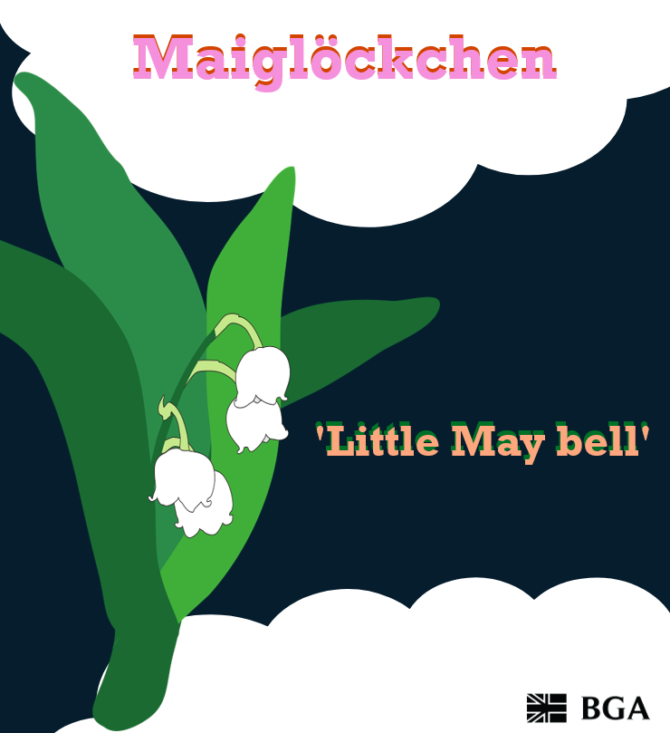 British-German Association (BGA) tweet media