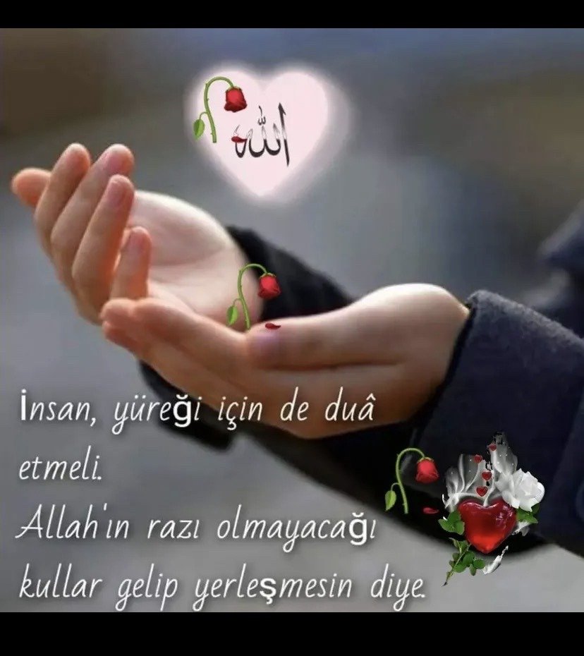 Ayşenur 🇹🇷 tweet media