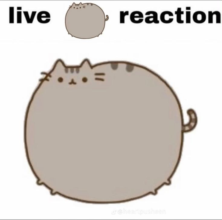 Pusheen parody account tweet media