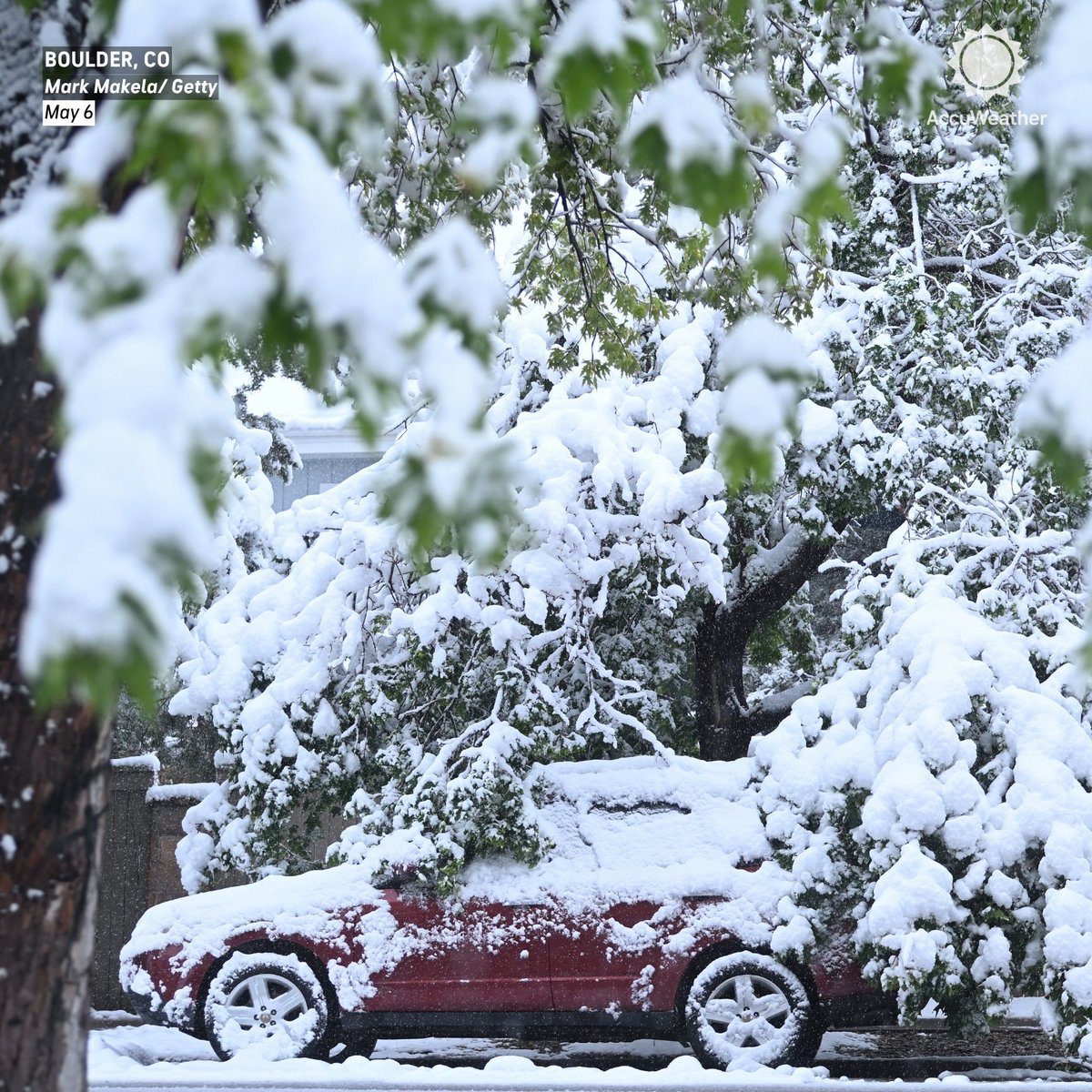AccuWeather tweet media