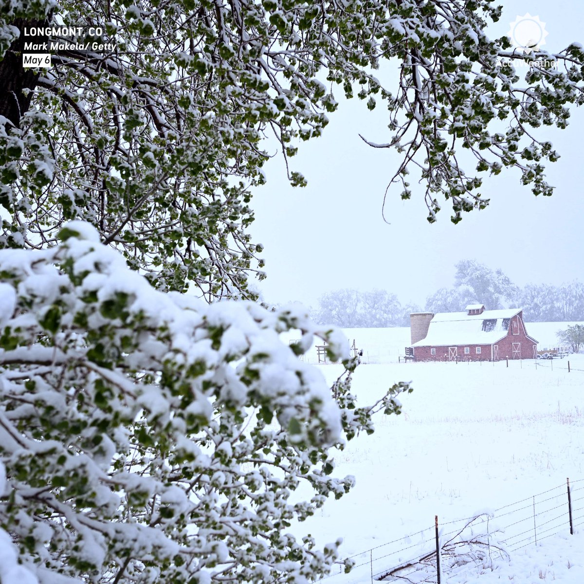AccuWeather tweet media