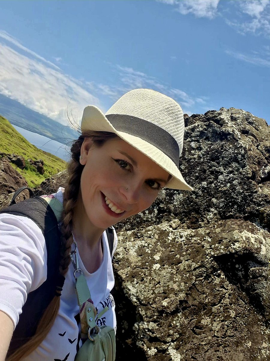 Alice Maze tweet media