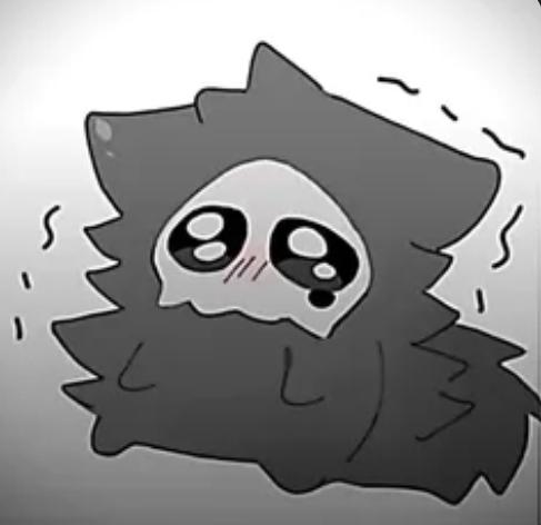cielozorrogato tweet media